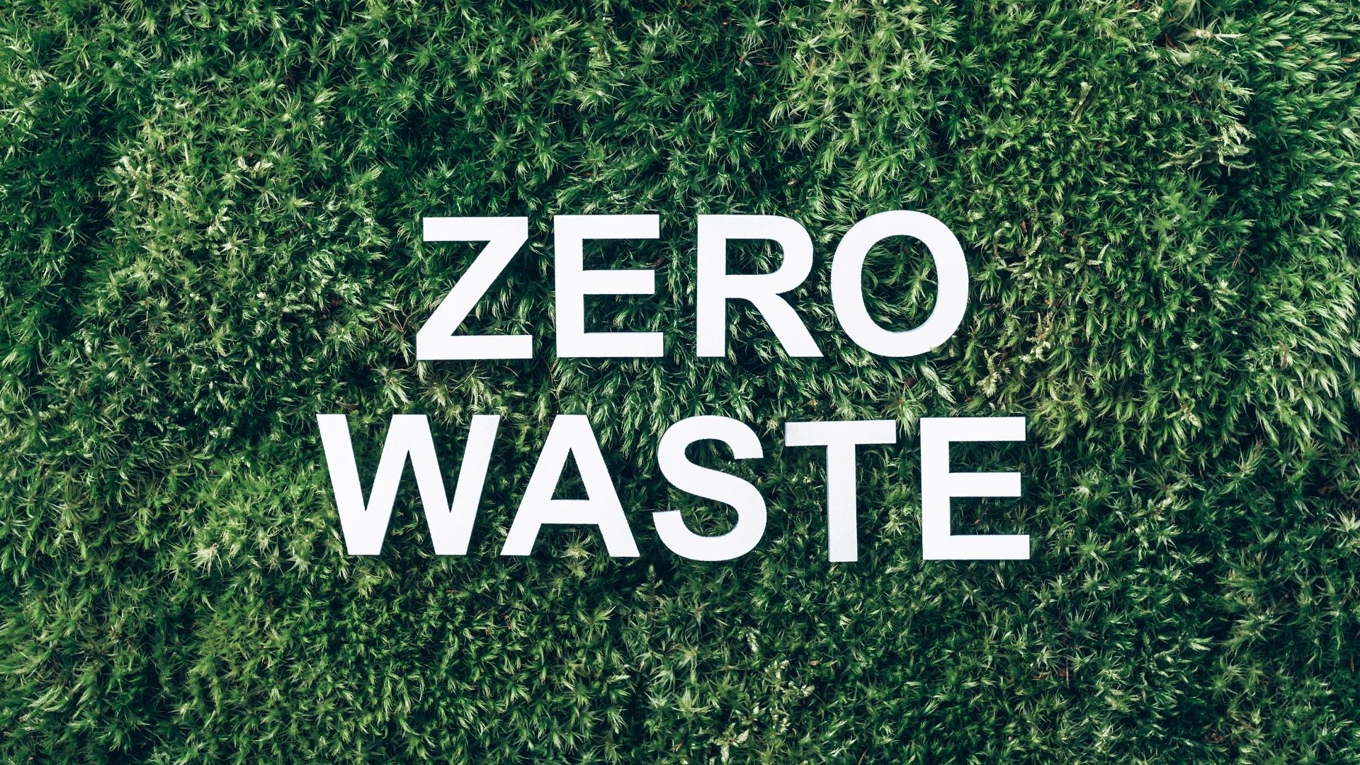 international-zero-waste-month